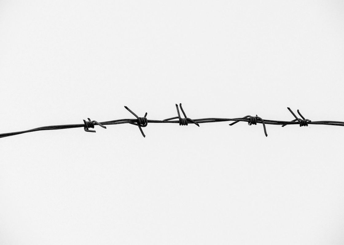 La legitimación del querellante particular en delitos ambientales a la luz del acuerdo de Escazú